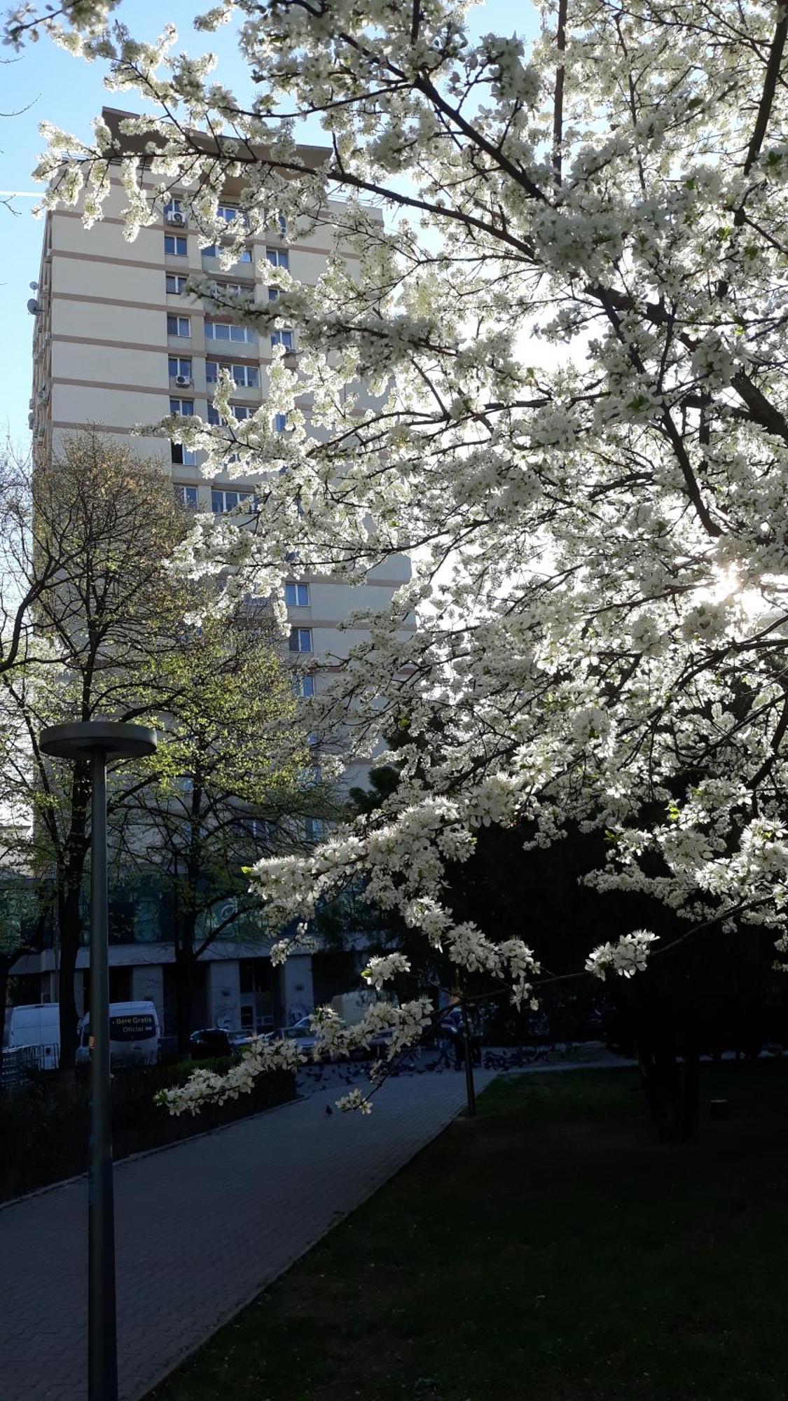 The Best Location Accommodation Букурещ Екстериор снимка