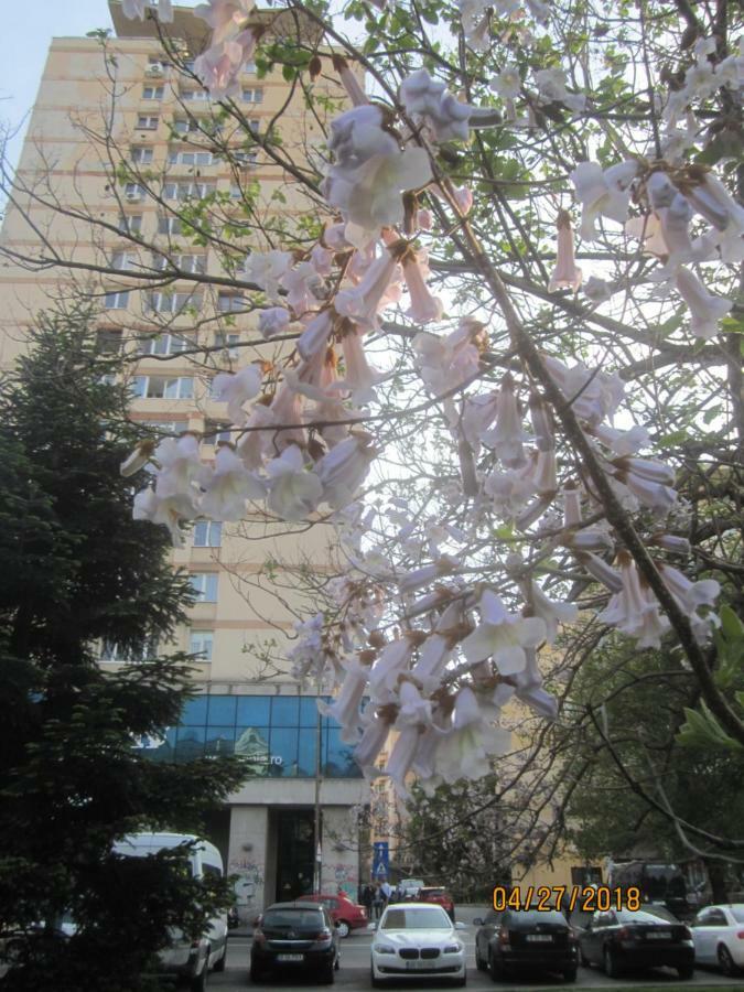The Best Location Accommodation Букурещ Екстериор снимка